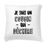 Coussin Cousin qui déchire 