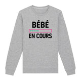 Sweat Adulte Bébé en cours 