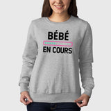 Sweat Adulte Bébé en cours Gris