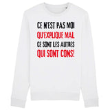 Sweat Adulte Ce n'est pas moi qui explique mal 