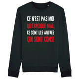 Sweat Adulte Ce n'est pas moi qui explique mal 