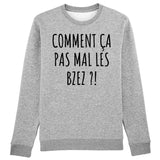 Sweat Adulte Comment ça pas mal les bzez ? 