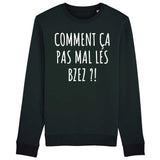 Sweat Adulte Comment ça pas mal les bzez ? 