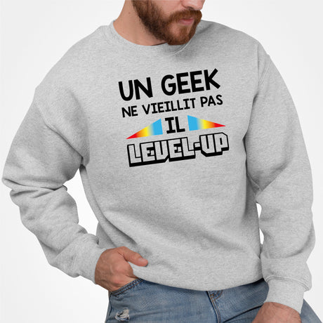 Sweat Adulte Geek level-up Gris