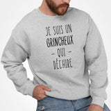 Sweat Adulte Grincheux qui déchire Gris