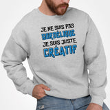 Sweat Adulte Je ne suis pas bordélique je suis créatif Gris