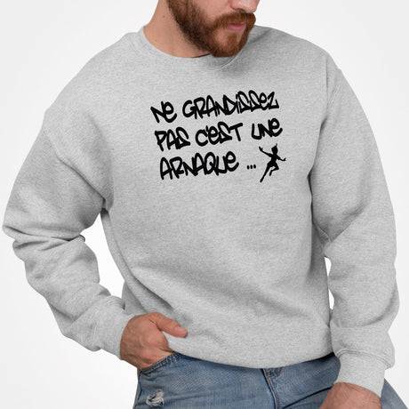 Sweat Adulte Ne grandissez pas c'est une arnaque Gris