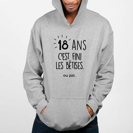 Sweat Capuche Adulte Anniversaire 18 ans Gris