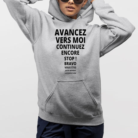 Sweat Capuche Adulte Avancez vers la perfection Gris