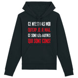 Sweat Capuche Adulte Ce n'est pas moi qui explique mal 