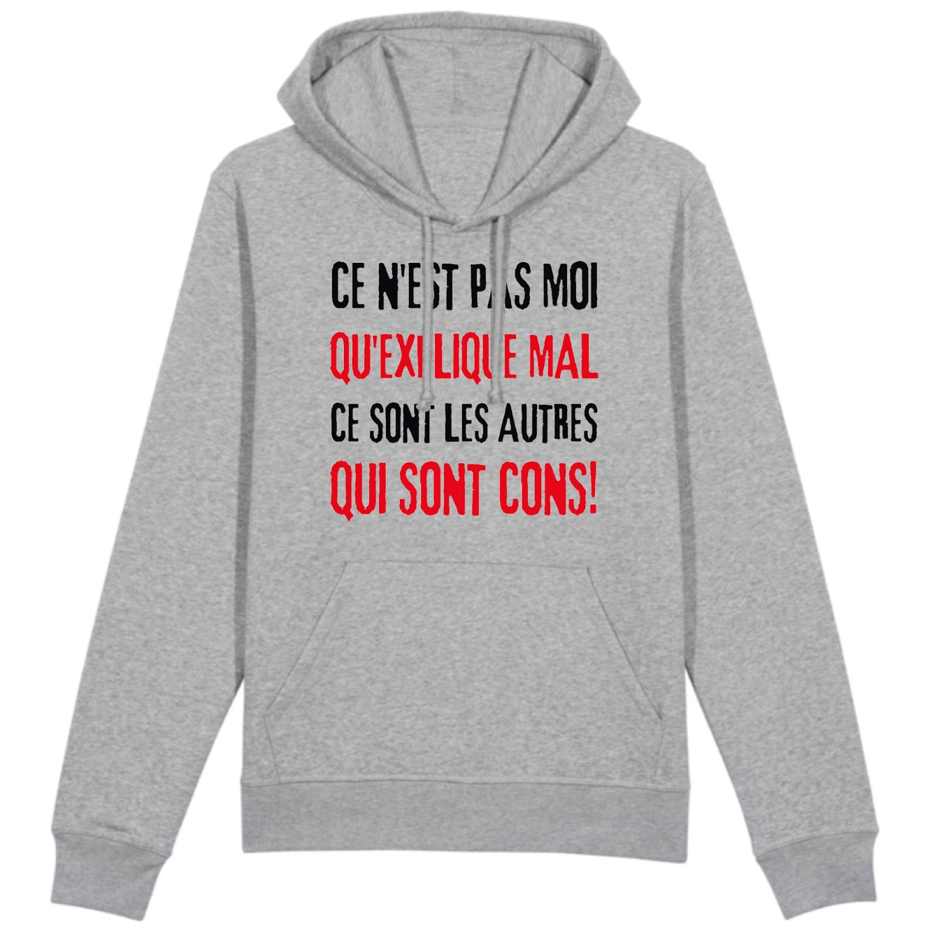 Sweat Capuche Adulte Ce n'est pas moi qui explique mal 