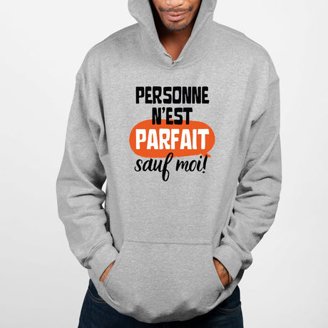 Sweat Capuche Adulte Personne n'est parfait Gris