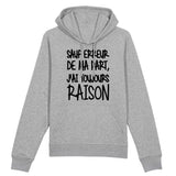 Sweat Capuche Adulte Sauf erreur j'ai raison 