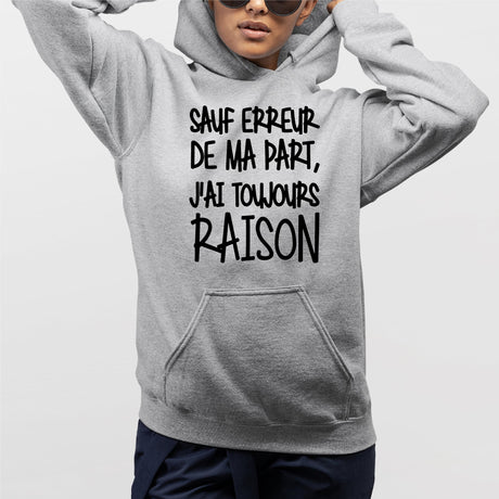 Sweat Capuche Adulte Sauf erreur j'ai raison Gris