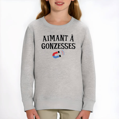 Sweat Enfant Aimant à gonzesses Gris